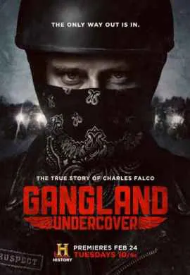 Под прикрытием