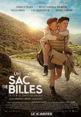 Мешок мрамора