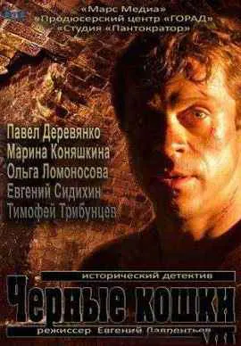 Черные кошки Черные кошки