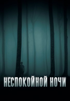 Неспокойной ночи